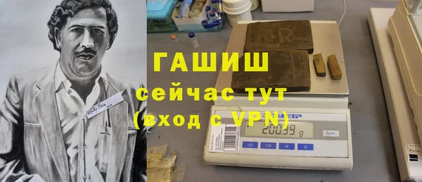 гидра Корсаков