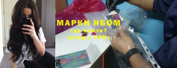 твердый Коряжма