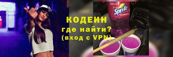 гидра Корсаков