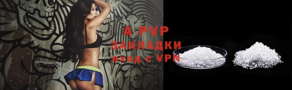 гидра Корсаков