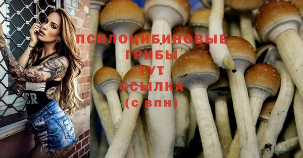 твердый Коряжма