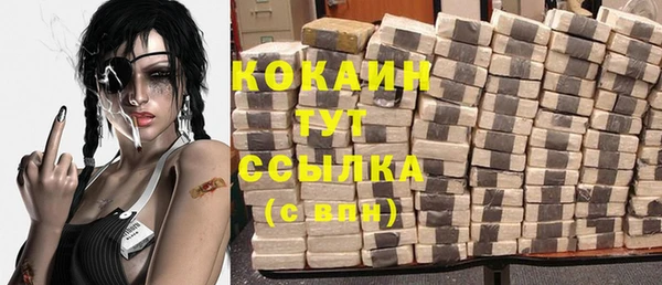 гидра Корсаков