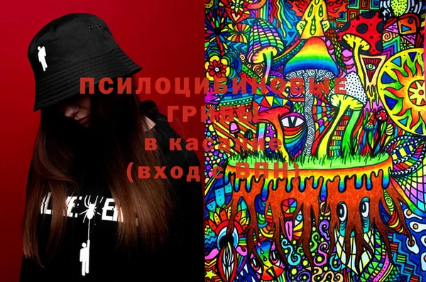 гидра Корсаков
