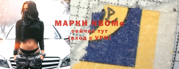 гидра Корсаков