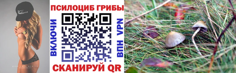 Купить где  Голицыно  Галлюциногенные грибы Psilocybine cubensis 